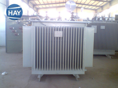 油浸式變壓器S11-200/10,河南三相變壓器廠_北京恒安源電氣設備_95供求網