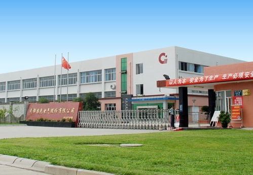 國光電氣ipo后首份年報出爐 核心競爭力護航收利持續(xù)雙增