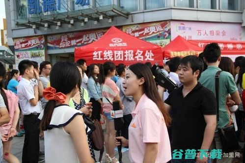 2019年婚姻介紹所加盟前景與加計抵減政策解析